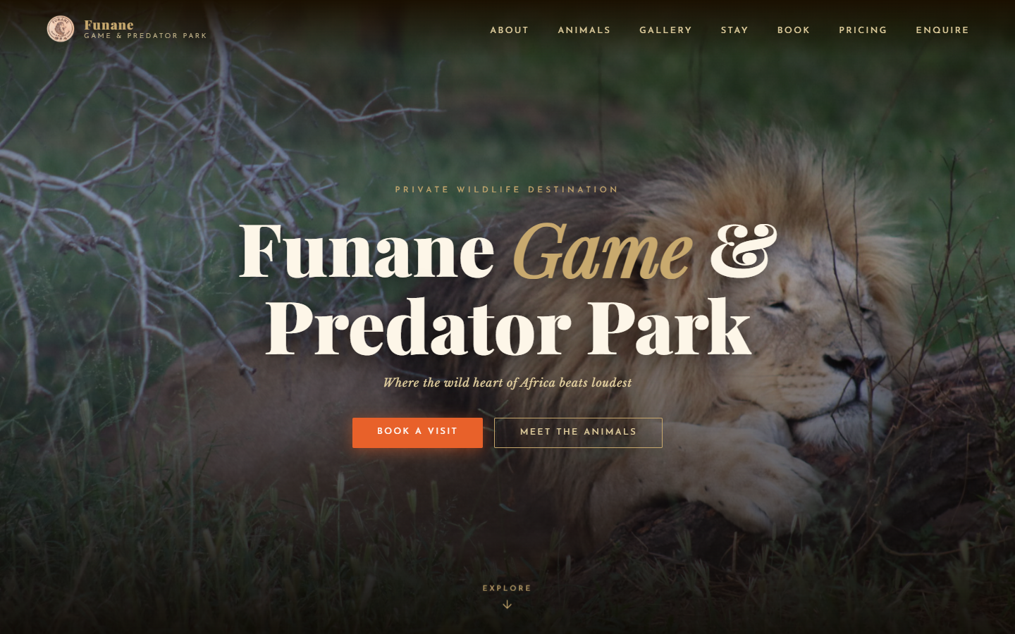 Funane Game and Predator Park website homepage created by TechCorpSA